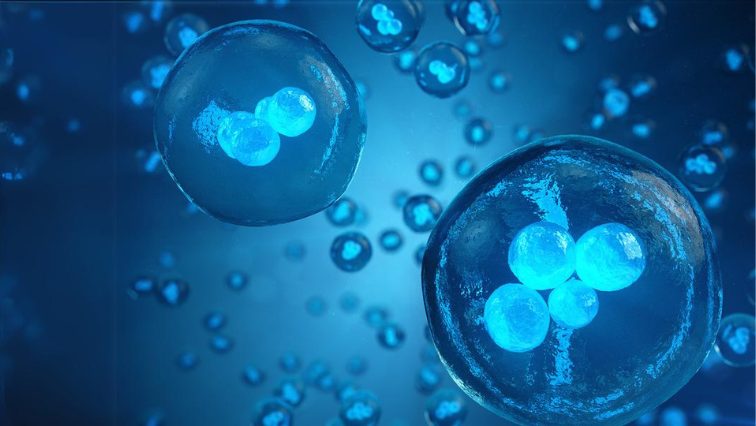 Eggs & Embryo Freezing Treatment in Noida - Anaya IVF & Fertility Care