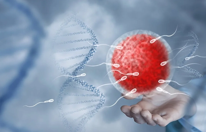 Eggs & Embryo Freezing Treatment in Noida - Anaya IVF & Fertility Care