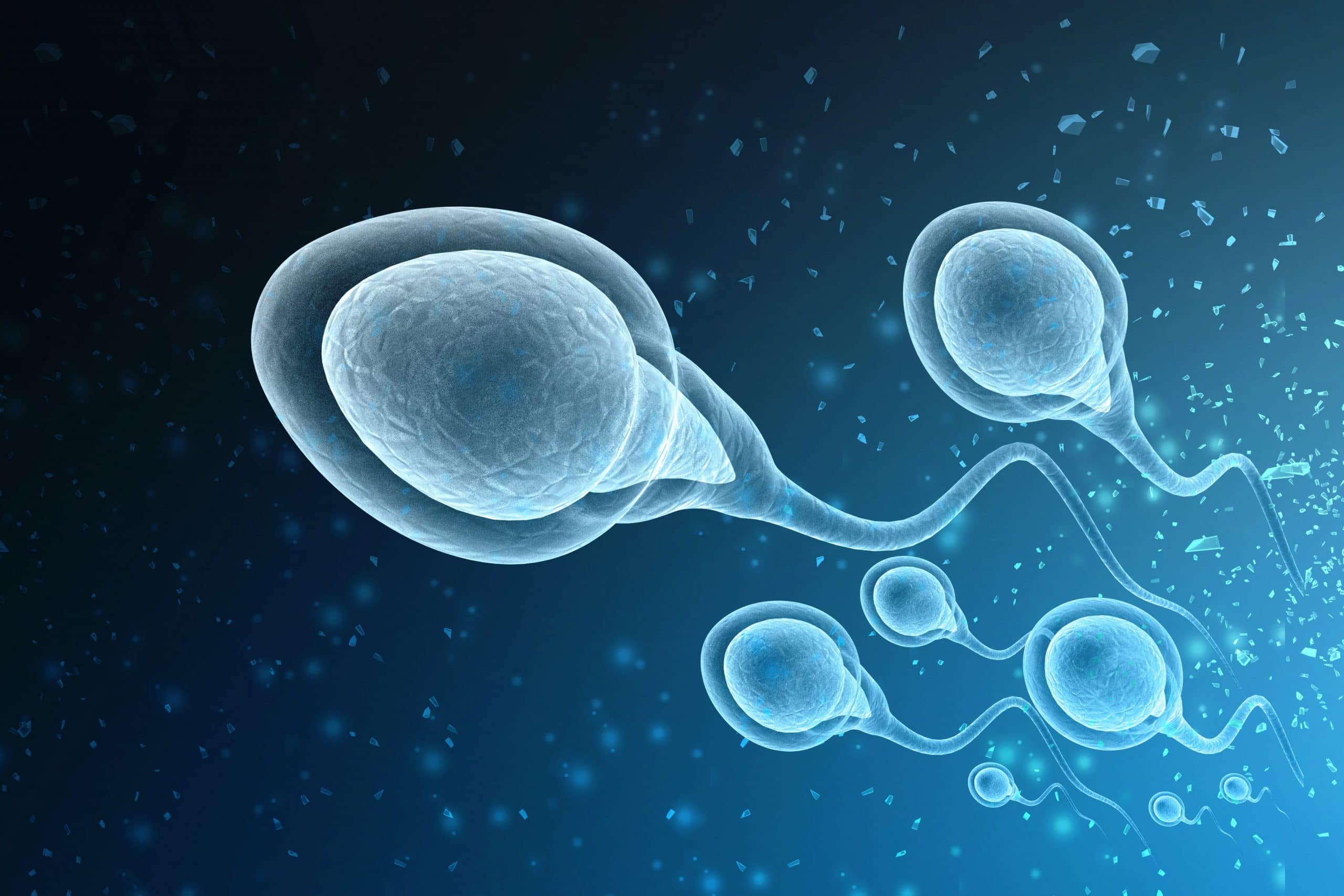 Semen Analysis and Culture Treatment in Noida Specialist